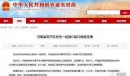 猪瘟最新爆料消息通知,揭秘病毒传播途径与防控措施