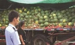 江阴吃瓜最新事件爆料是真的吗,最新爆料真相揭秘