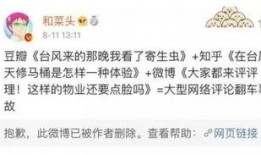 张晓晗在线爆料最新消息,揭秘娱乐圈不为人知的秘密