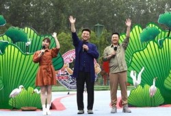 衡阳记者爆料案件视频最新,惊人内幕引发社会关注