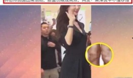 伤痕最新爆料,最新爆料揭示惊人内幕