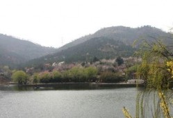 十梅庵今日爆料了吗最新消息,今日热点事件深度解析”