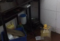 义乌房东最新爆料,最新租房市场动态与价格波动