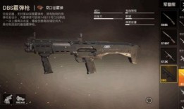 和平精英最新爆料dbs,神秘DBS系统即将亮相，游戏体验再升级