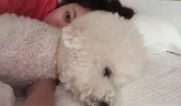 国旻最新动态爆料,揭秘明星情侣甜蜜瞬间