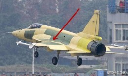 枭龙飞行员爆料视频最新,最新爆料视频深度解析