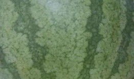 尉氏吃瓜最新事件爆料,揭秘背后惊人真相