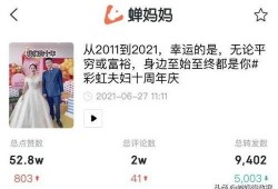 彩虹夫妇爆料视频大全最新,揭秘幕后故事与甜蜜瞬间
