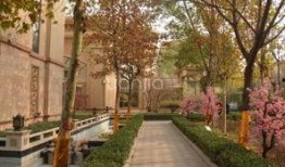 石家庄桃源里最新爆料,揭秘高端住宅区的神秘面纱