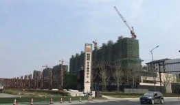 嘉兴城南最新爆料,揭秘神秘项目背后的故事