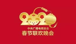 春节最新爆料,揭秘最新爆料背后的年味传奇