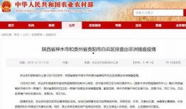 猪瘟最新爆料消息通知,揭秘病毒传播途径与防控措施