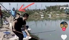 宏楠最新爆料,揭秘行业背后惊人内幕