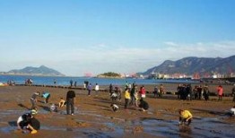 连云港墟沟最新爆料,揭秘墟沟发展新篇章