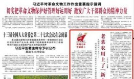 寿光最新爆料新闻报道内容,揭秘事件背后真相