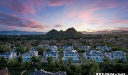 西岛最新官方爆料信息,最新爆料信息大起底