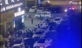 增城夜场爆料案件最新进展,最新进展揭秘