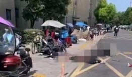 网友爆料坠楼案件视频最新,惊现坠楼案件，真相令人唏嘘