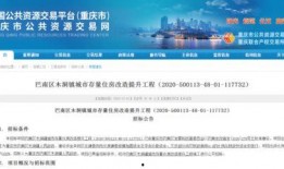 重庆巴南最新爆料,揭秘神秘事件背后的真相