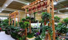 石家庄桃源里最新爆料,揭秘高端住宅区的神秘面纱