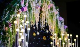 重庆婚礼爆料视频最新,传统与现代交融的浪漫瞬间